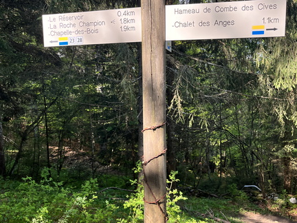 23-05-23 09-58-32 5568